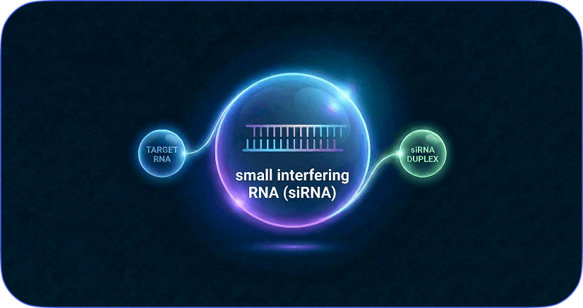 siRNA Design